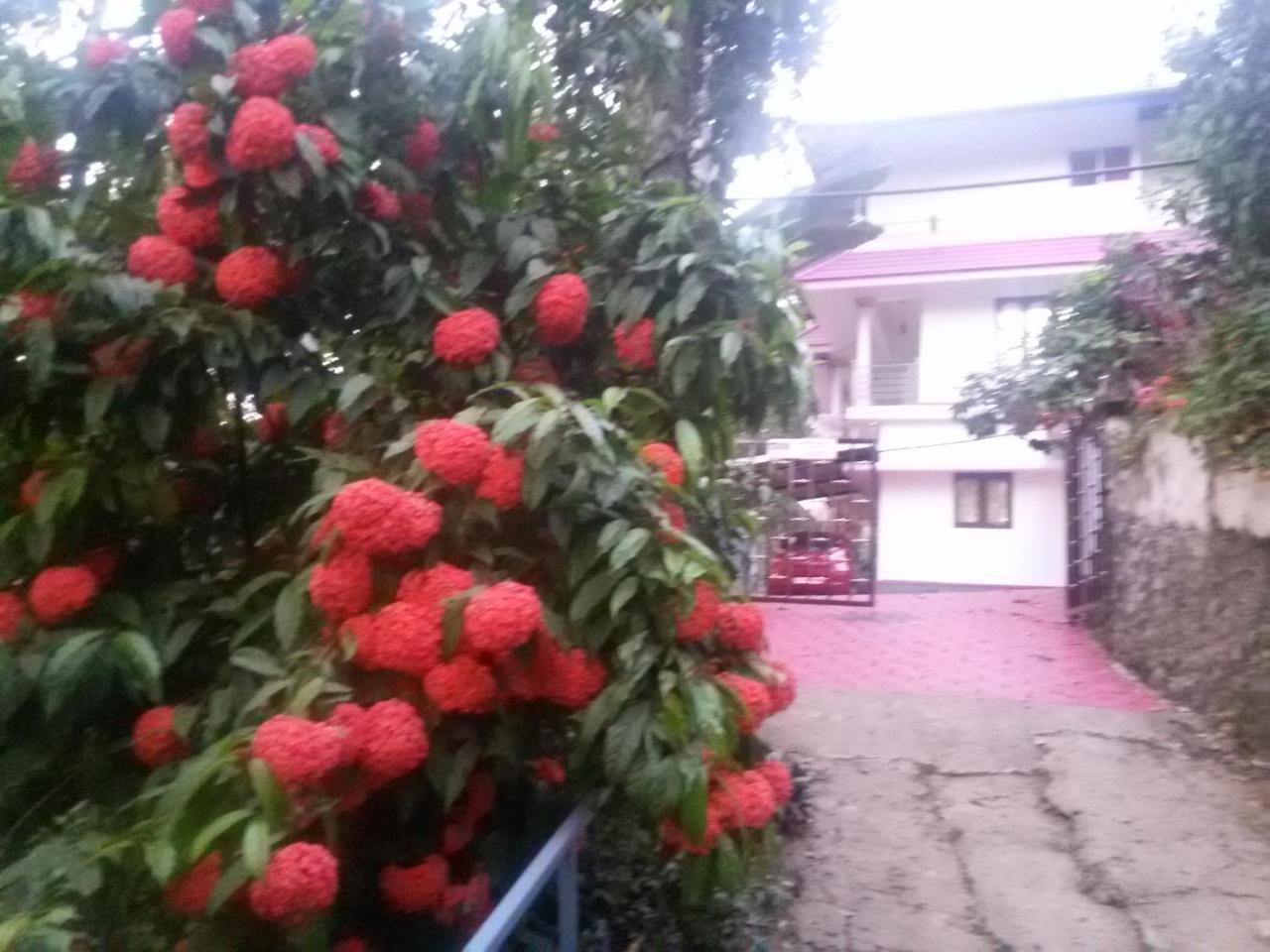Mount Spring Valley Homestay تيكَدِيْ المظهر الخارجي الصورة